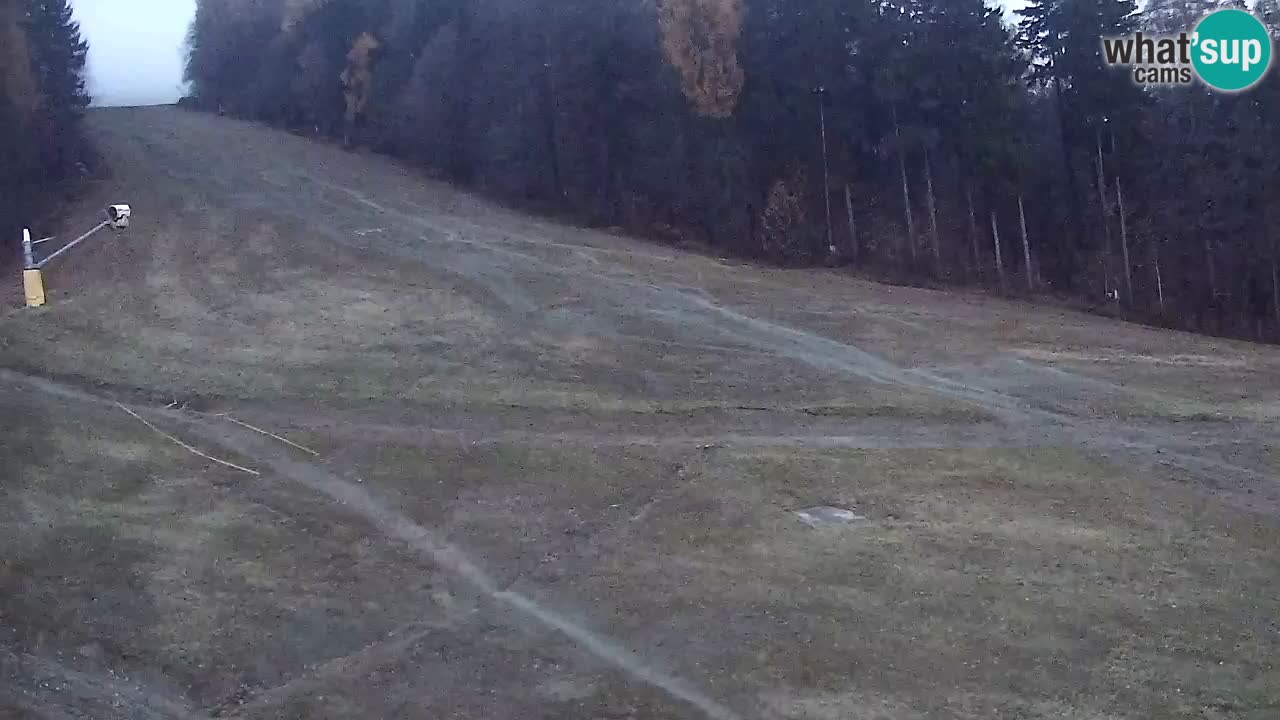 Web Camera Pohorje Trikotna Jasa | Poštela