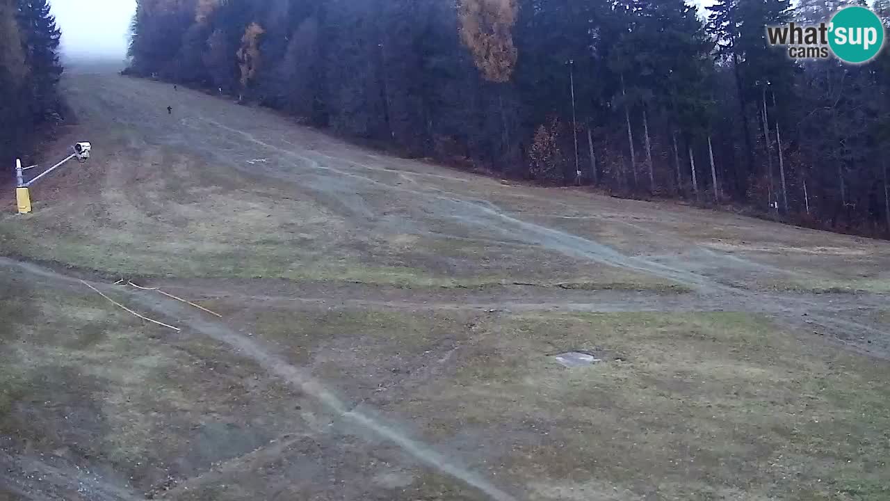 Webcam Pohorje Trikotna Jasa | Poštela