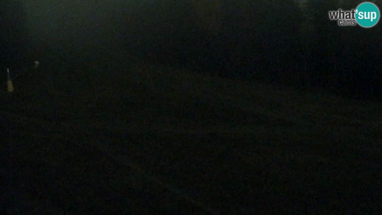 Webcam Pohorje Trikotna Jasa | Poštela