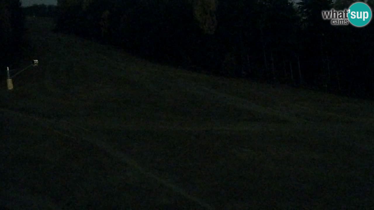 Webcam Pohorje Trikotna Jasa | Poštela