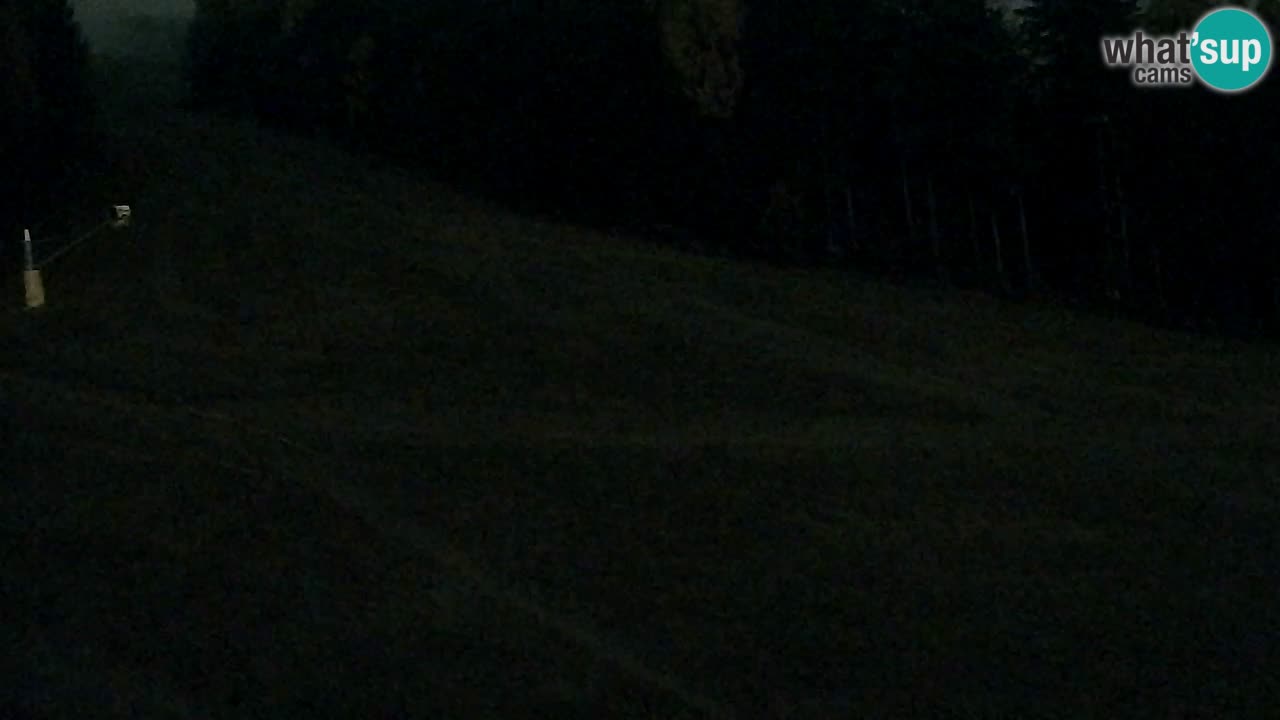 Web Camera Pohorje Trikotna Jasa | Poštela