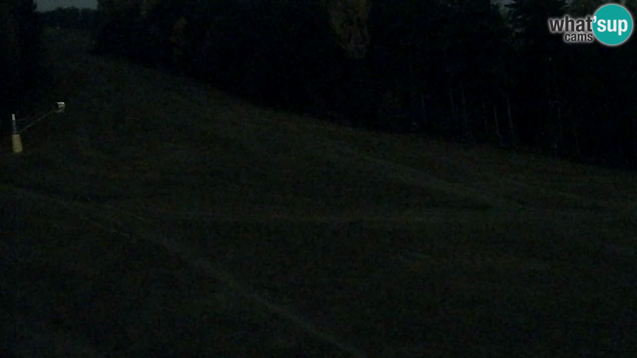 Webcam Pohorje Trikotna Jasa | Poštela