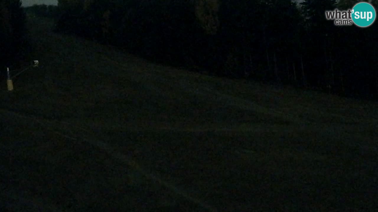 Webcam Pohorje Trikotna Jasa | Poštela