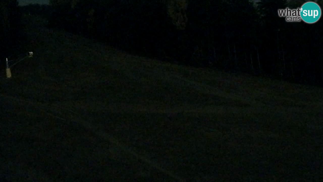 Webcam Pohorje Trikotna Jasa | Poštela