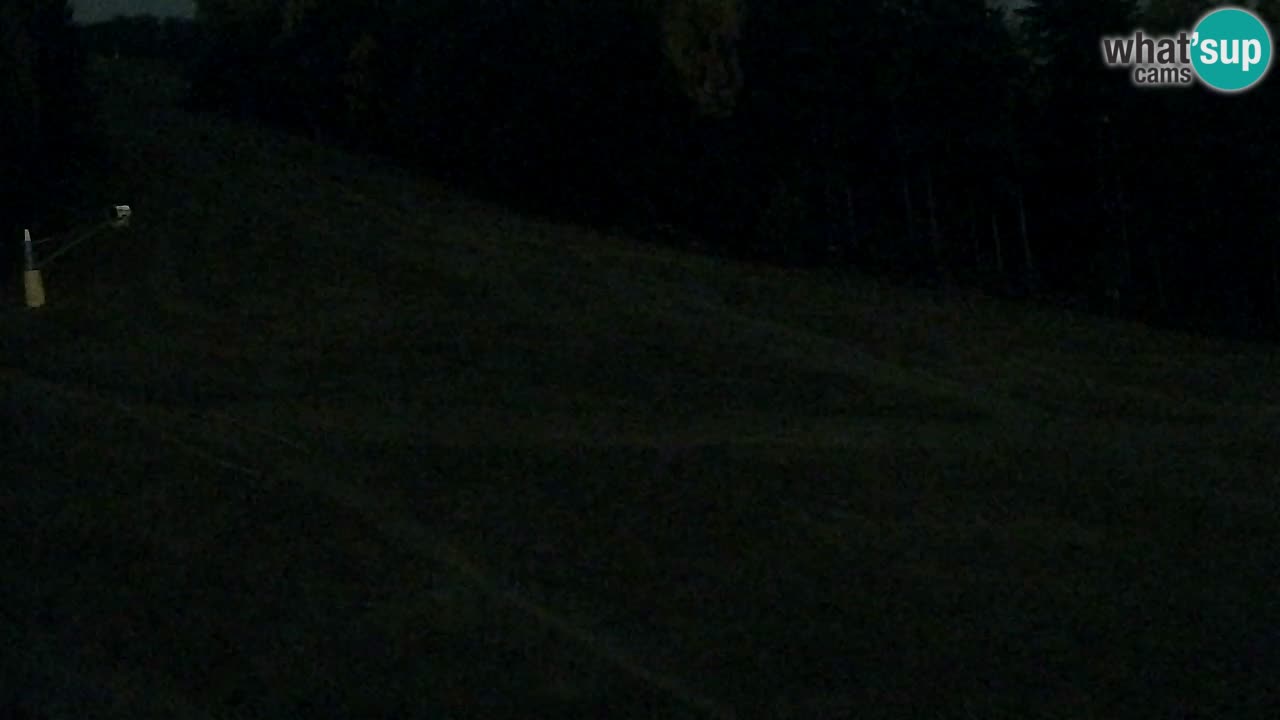 Web Camera Pohorje Trikotna Jasa | Poštela