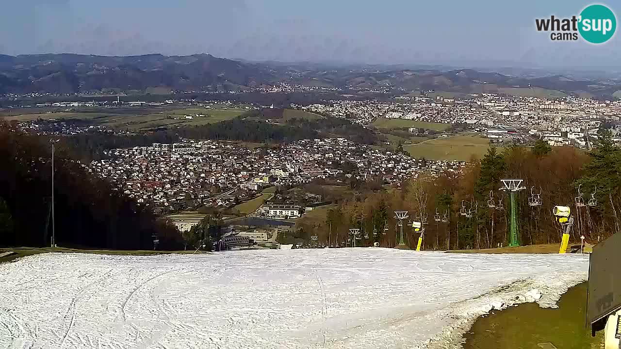 Webcam Pohorje Trikotna Jasa | Poštela