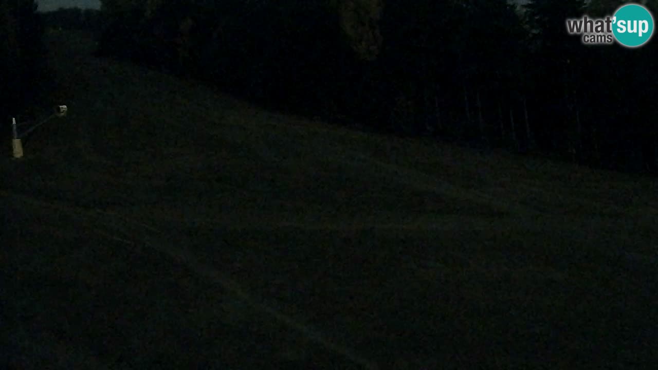 Web Camera Pohorje Trikotna Jasa | Poštela