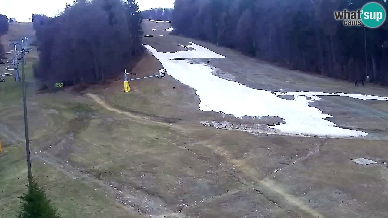 Spletna Kamera Pohorje Trikotna Jasa | Poštela