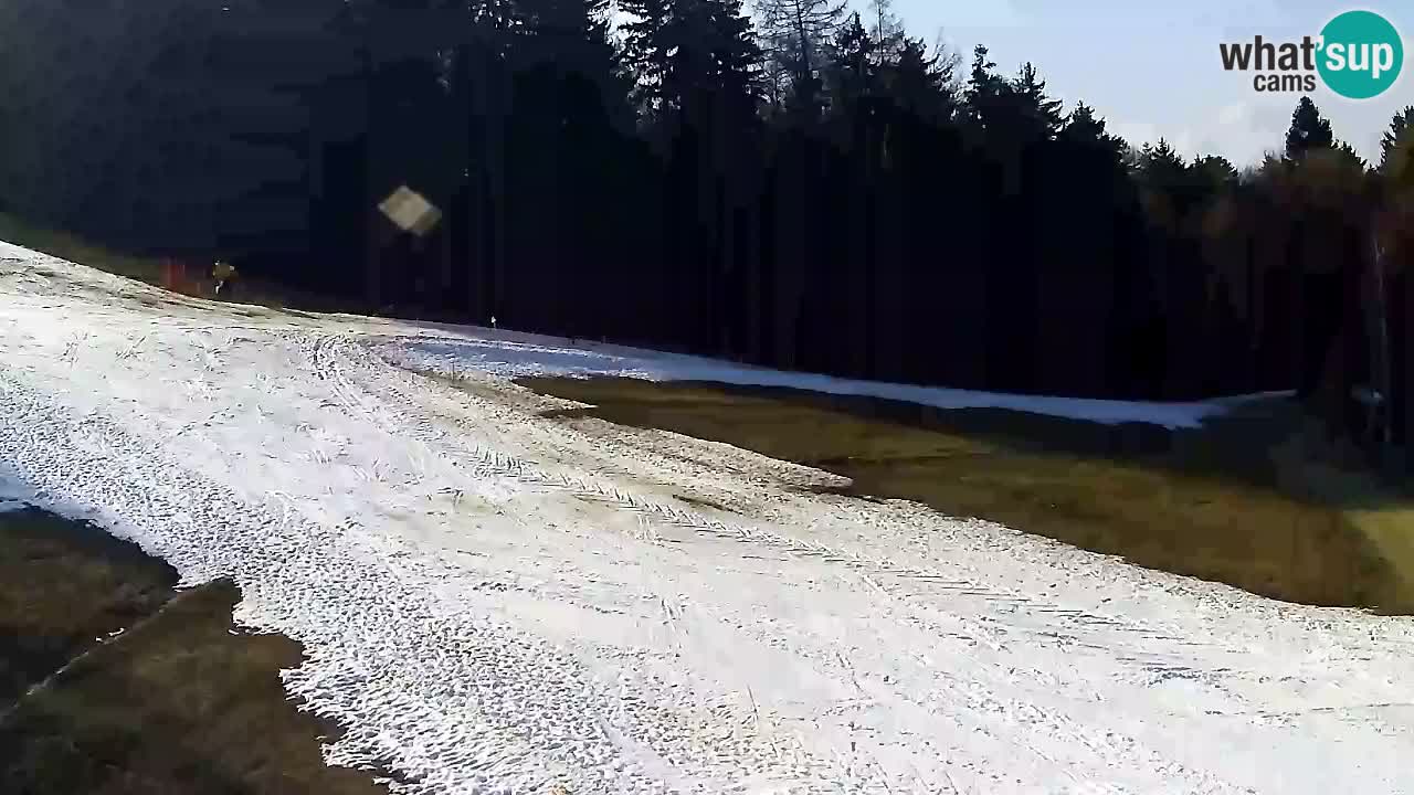 Webcam Pohorje Trikotna Jasa | Poštela