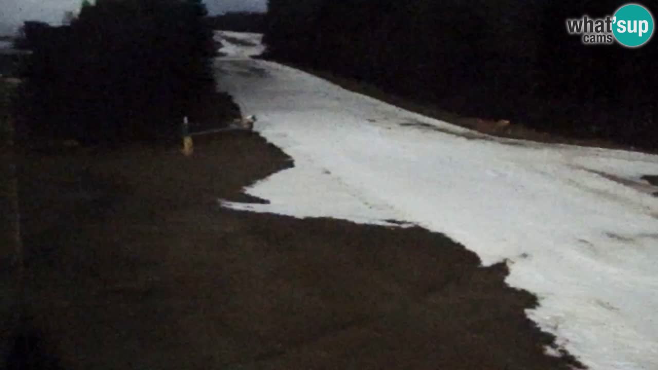 Spletna Kamera Pohorje Trikotna Jasa | Poštela