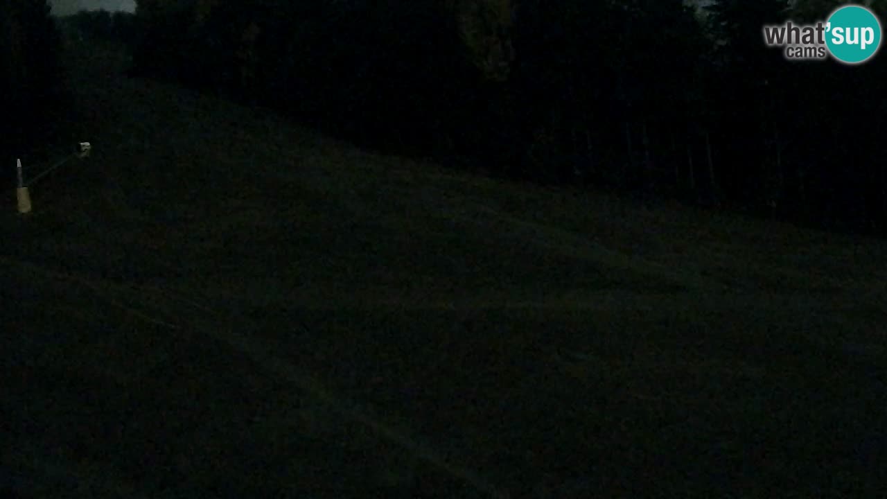 Webcam Pohorje Trikotna Jasa | Poštela