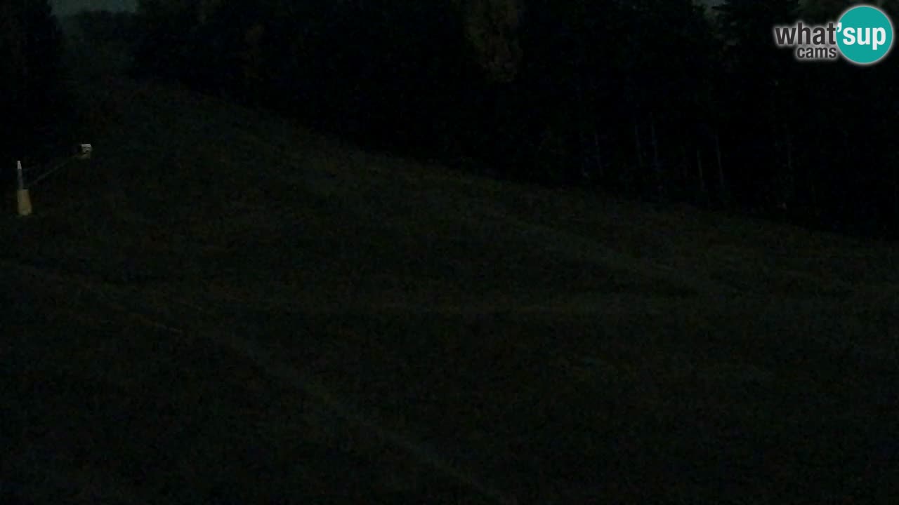 Webcam Pohorje Trikotna Jasa | Poštela