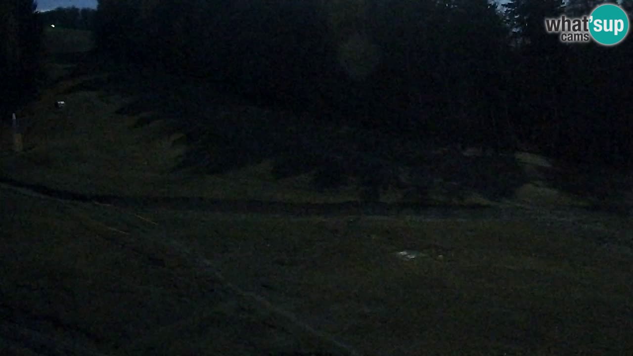 Webcam Pohorje Trikotna Jasa | Poštela