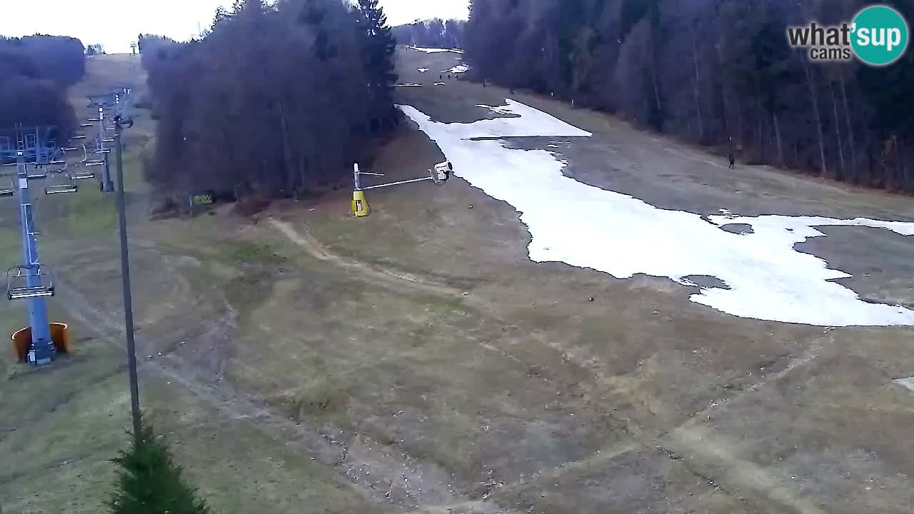 Web kamera Pohorje Trikotna Jasa | Poštela