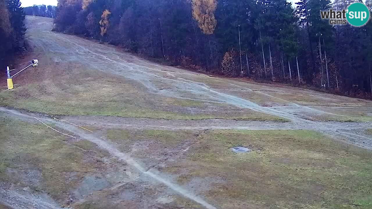 Web Camera Pohorje Trikotna Jasa | Poštela