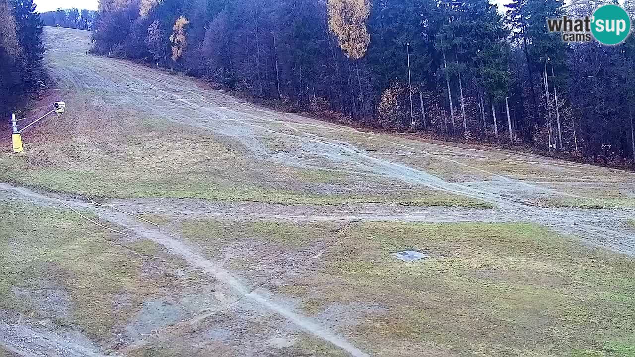 Webcam Pohorje Trikotna Jasa | Poštela