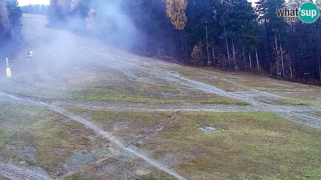 Webcam Pohorje Trikotna Jasa | Poštela