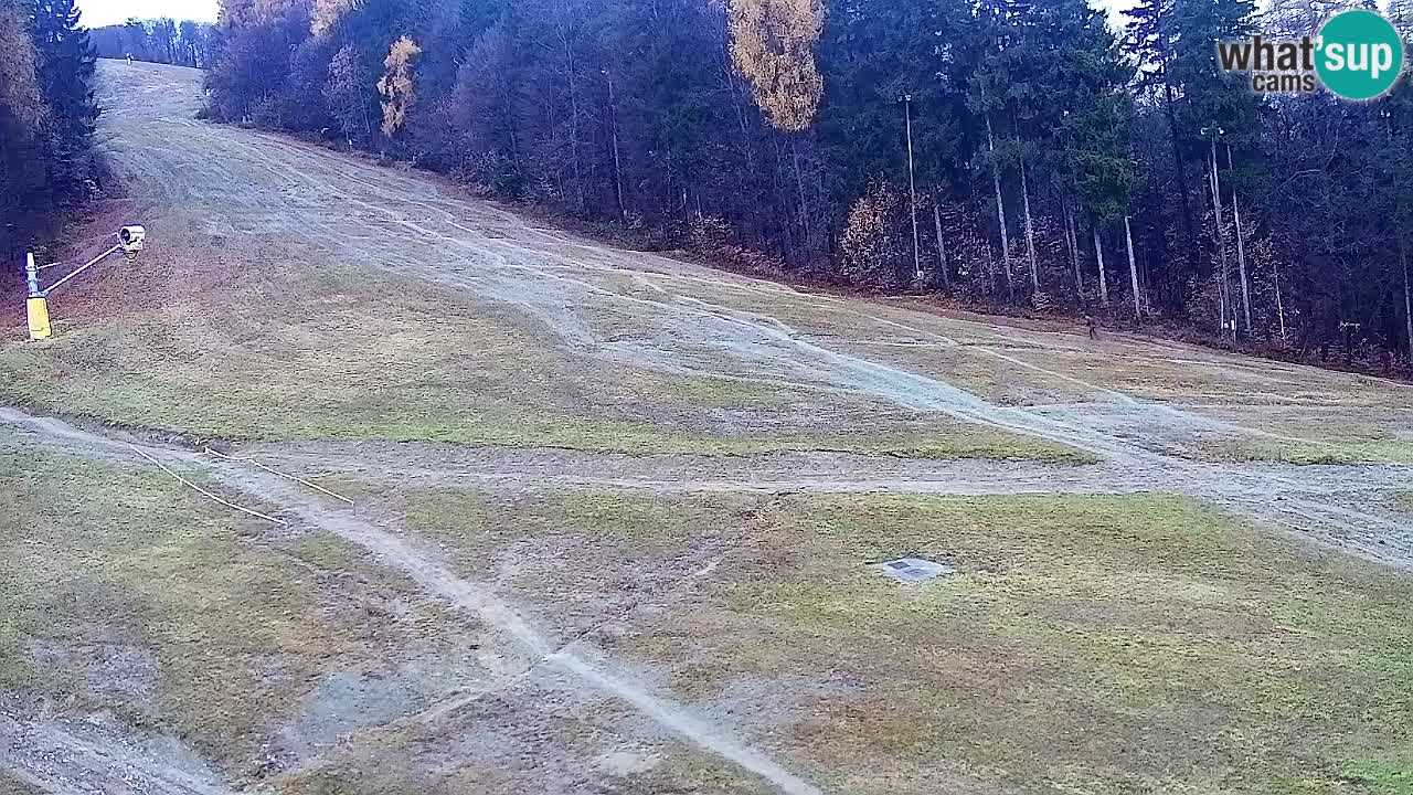 Webcam Pohorje Trikotna Jasa | Poštela