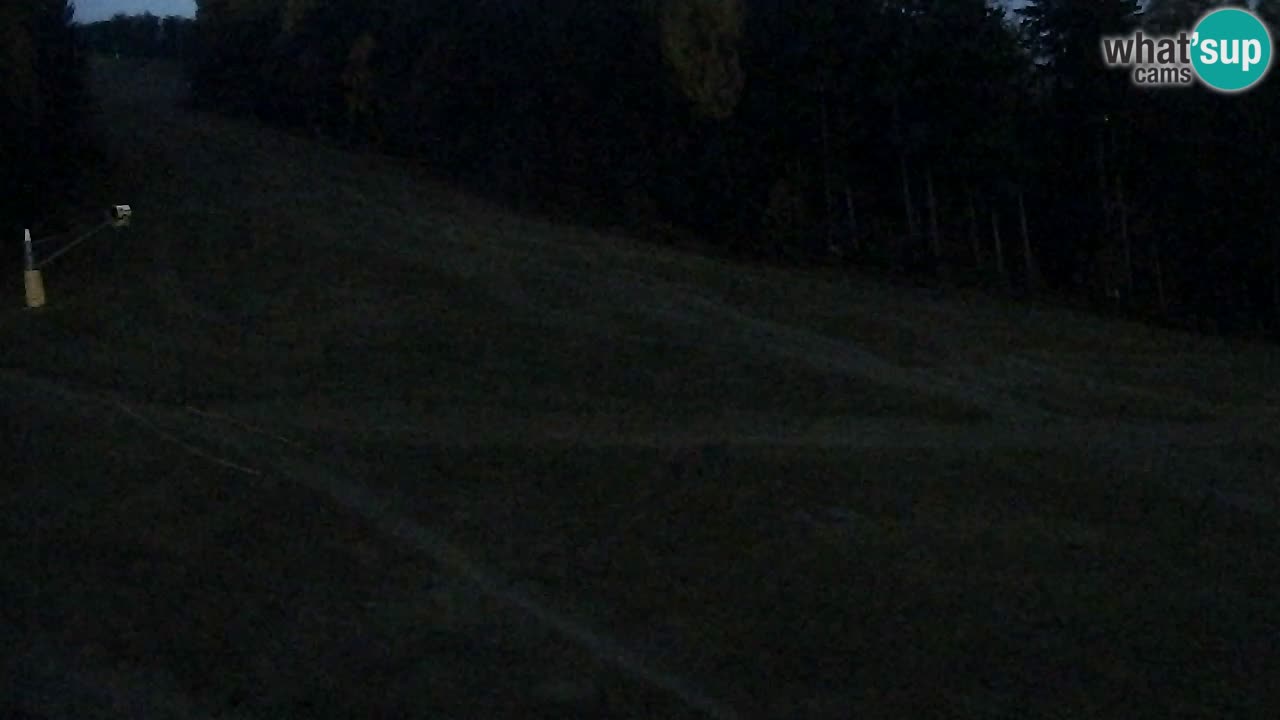 Web Camera Pohorje Trikotna Jasa | Poštela