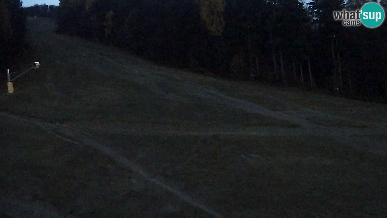 Webcam Pohorje Trikotna Jasa | Poštela