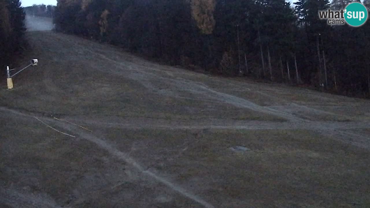 Webcam Pohorje Trikotna Jasa | Poštela