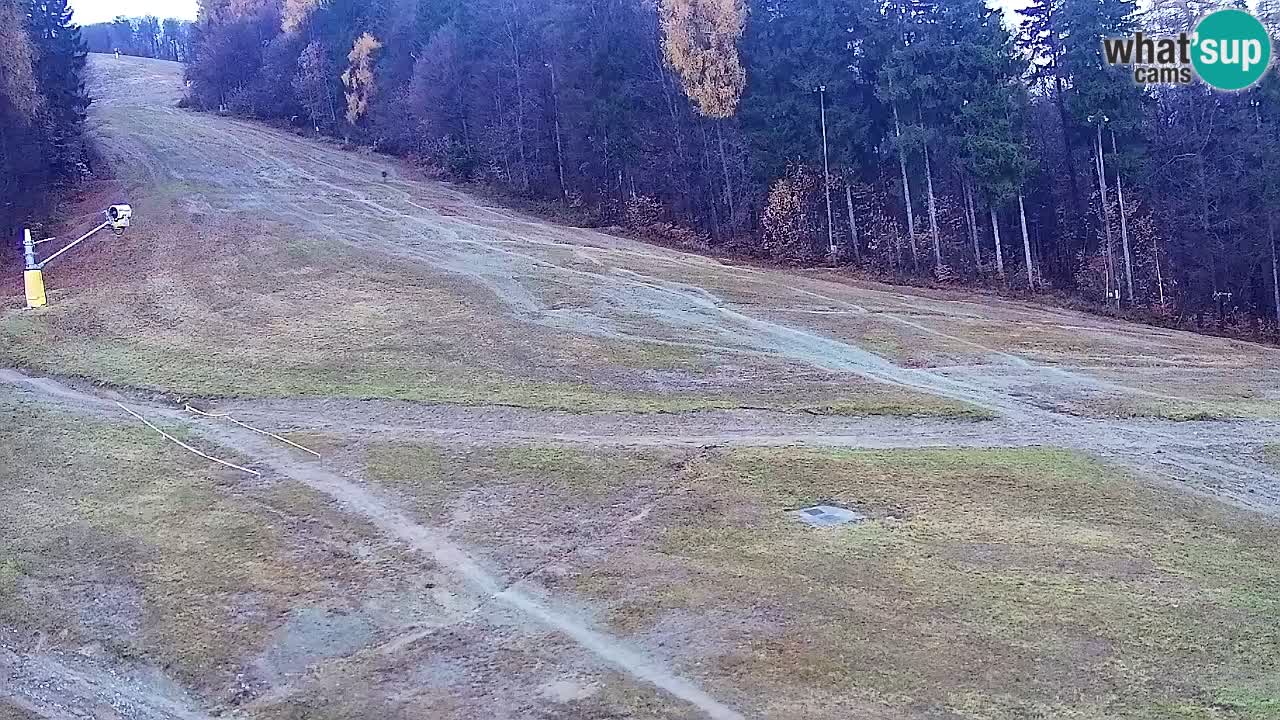 Web Camera Pohorje Trikotna Jasa | Poštela