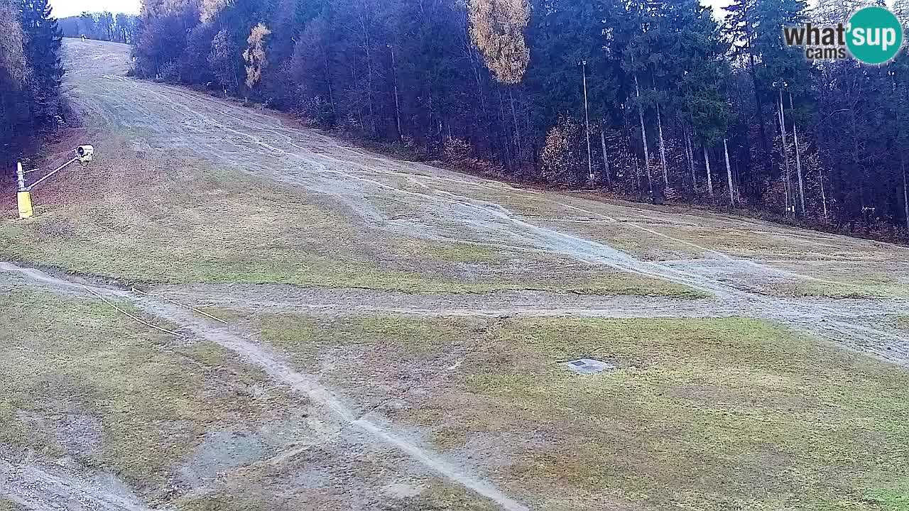 Spletna Kamera Pohorje Trikotna Jasa | Poštela