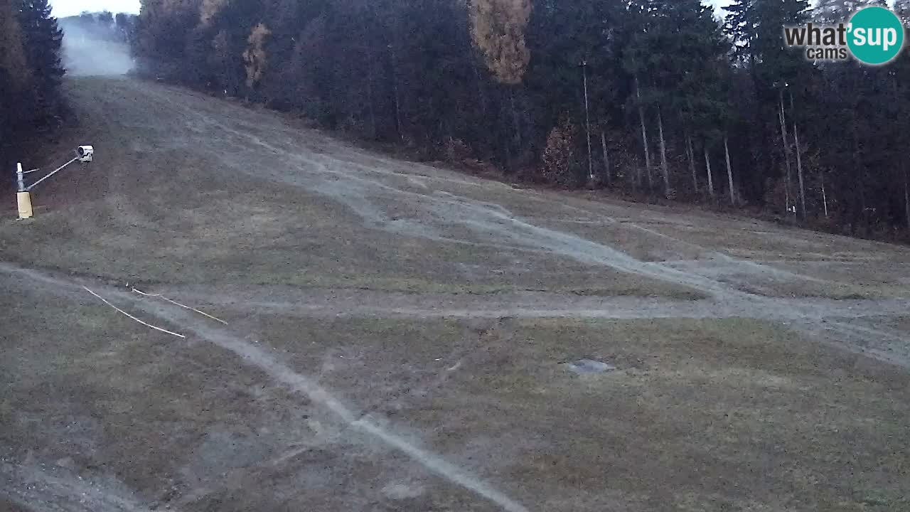 Webcam Pohorje Trikotna Jasa | Poštela