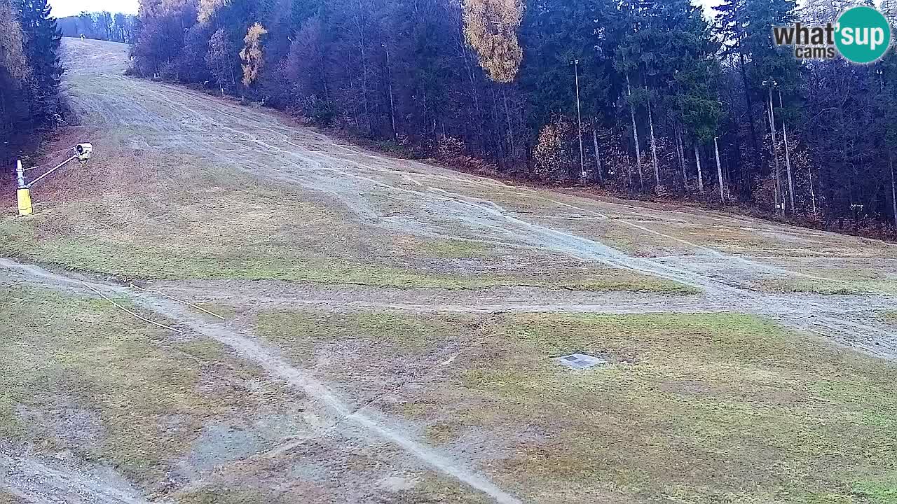 Webcam Pohorje Trikotna Jasa | Poštela