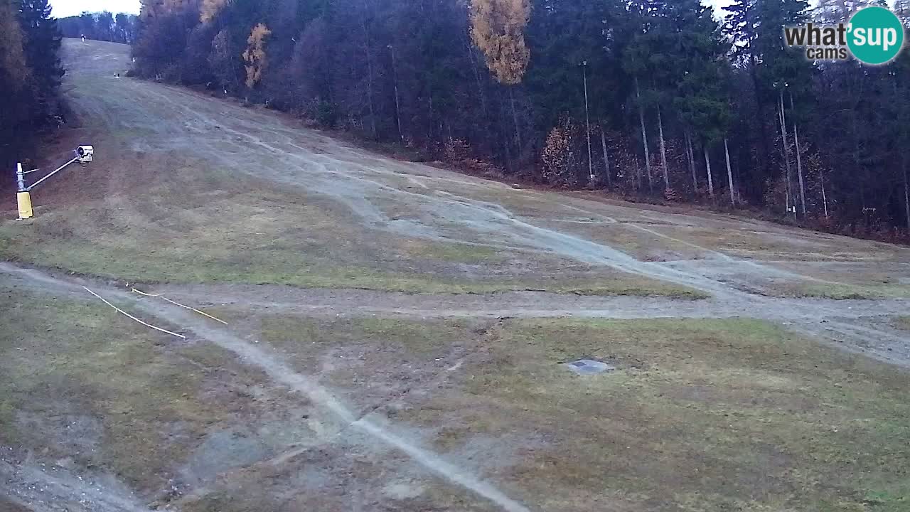Webcam Pohorje Trikotna Jasa | Poštela