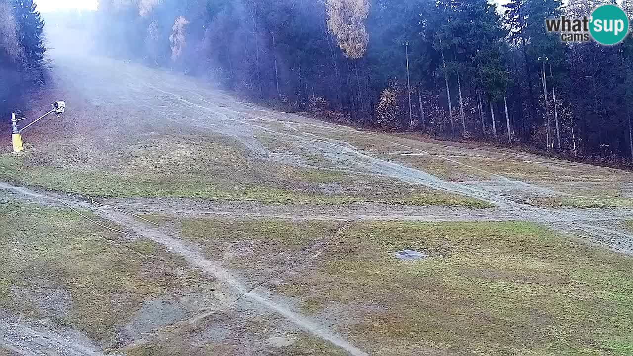 Web kamera Pohorje Trikotna Jasa | Poštela