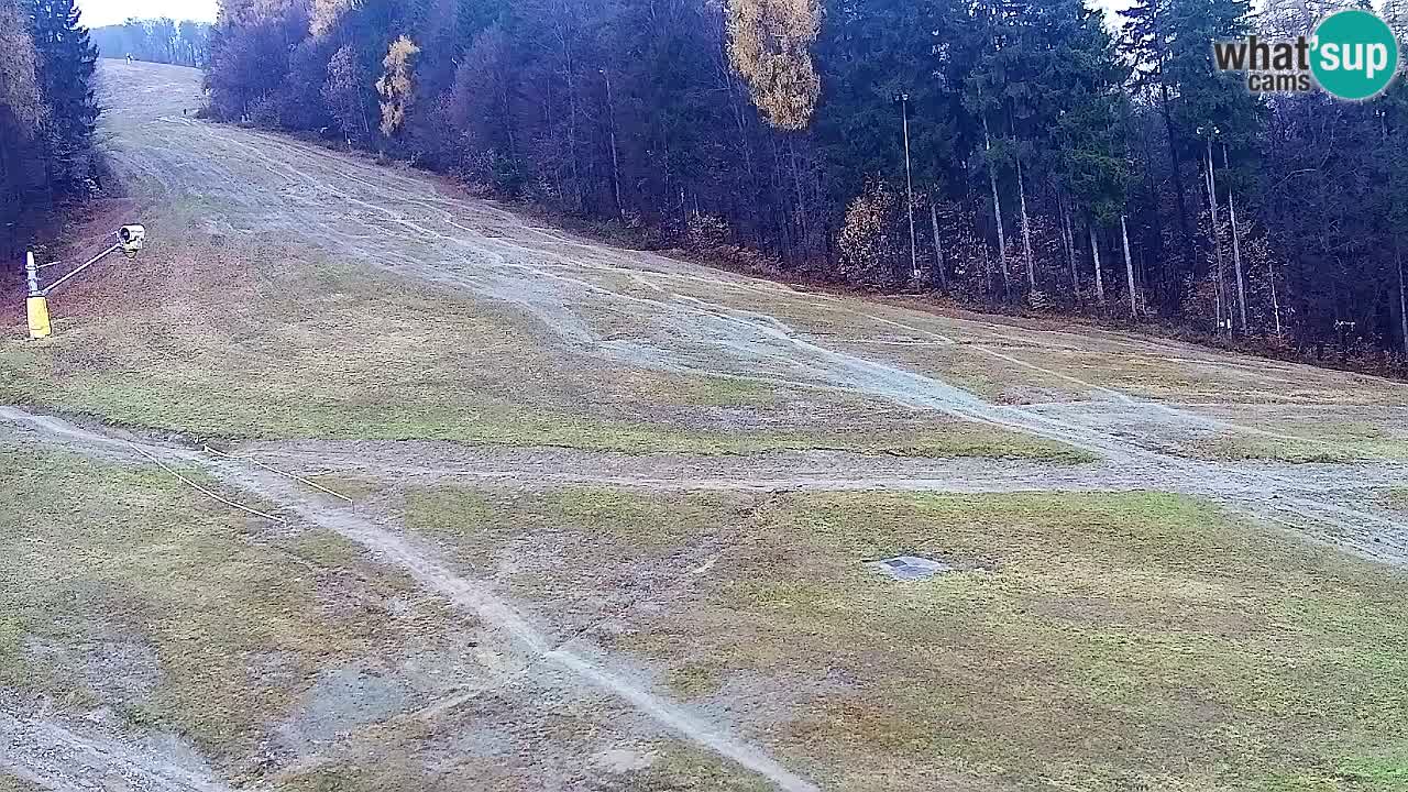 Web Camera Pohorje Trikotna Jasa | Poštela