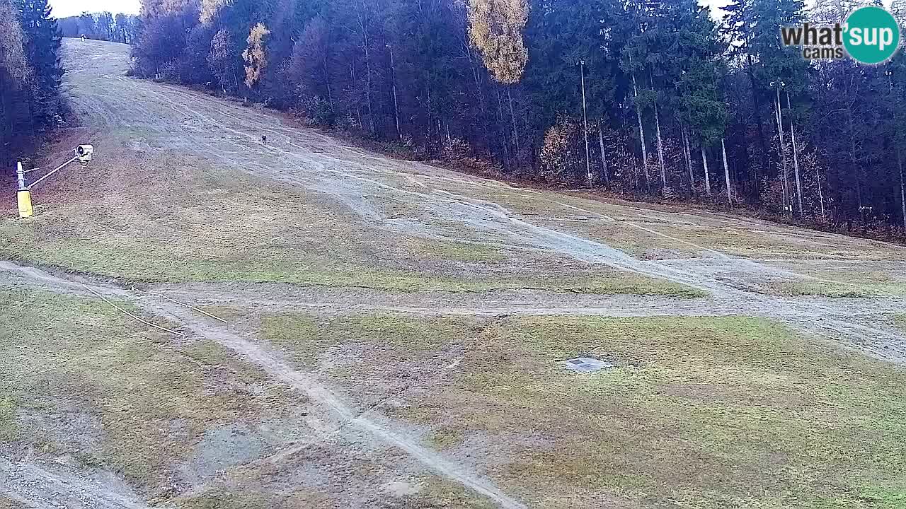 Web kamera Pohorje Trikotna Jasa | Poštela