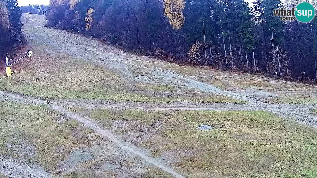 Spletna Kamera Pohorje Trikotna Jasa | Poštela