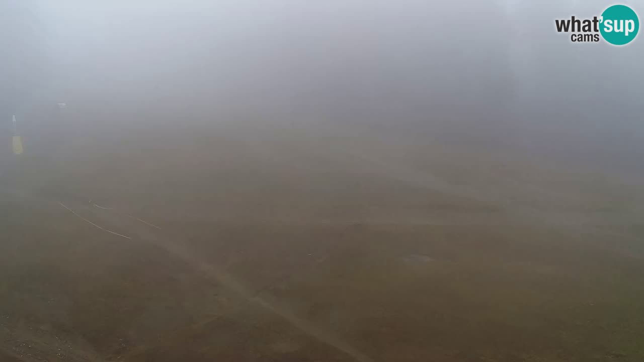 Webcam Pohorje Trikotna Jasa | Poštela