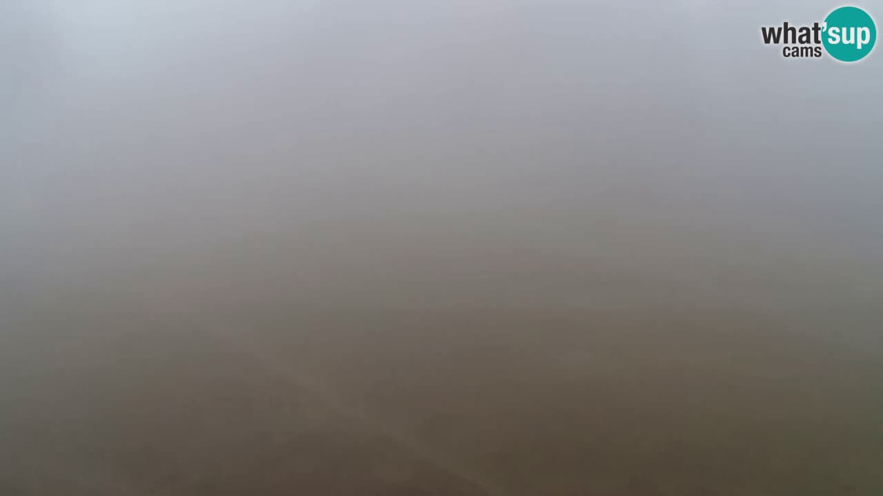 Webcam Pohorje Trikotna Jasa | Poštela