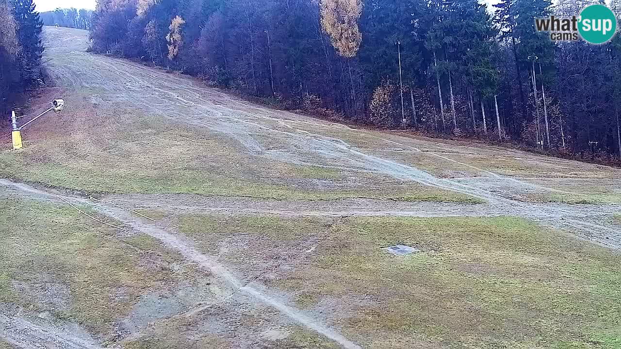 Webcam Pohorje Trikotna Jasa | Poštela