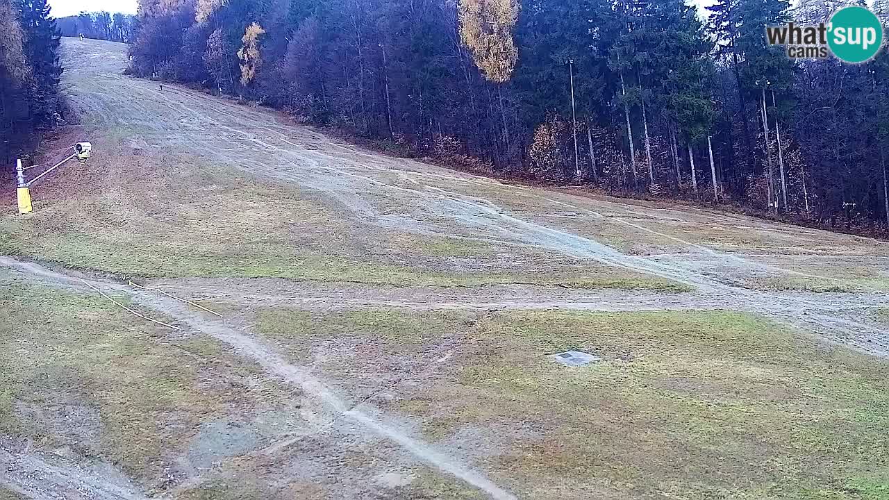 Web Camera Pohorje Trikotna Jasa | Poštela