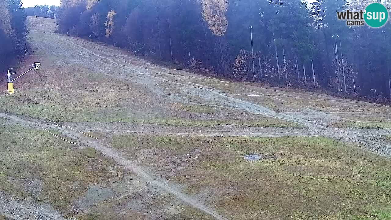 Webcam Pohorje Trikotna Jasa | Poštela