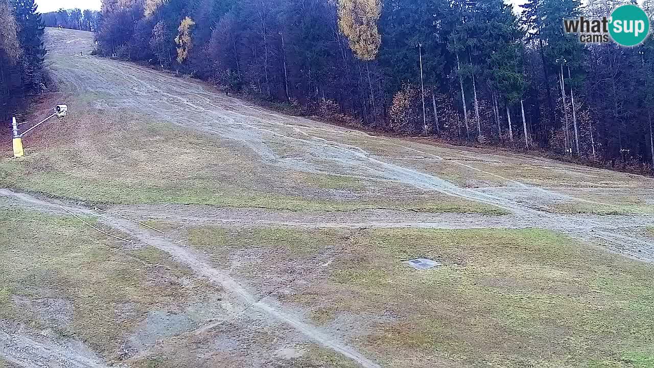 Web Camera Pohorje Trikotna Jasa | Poštela