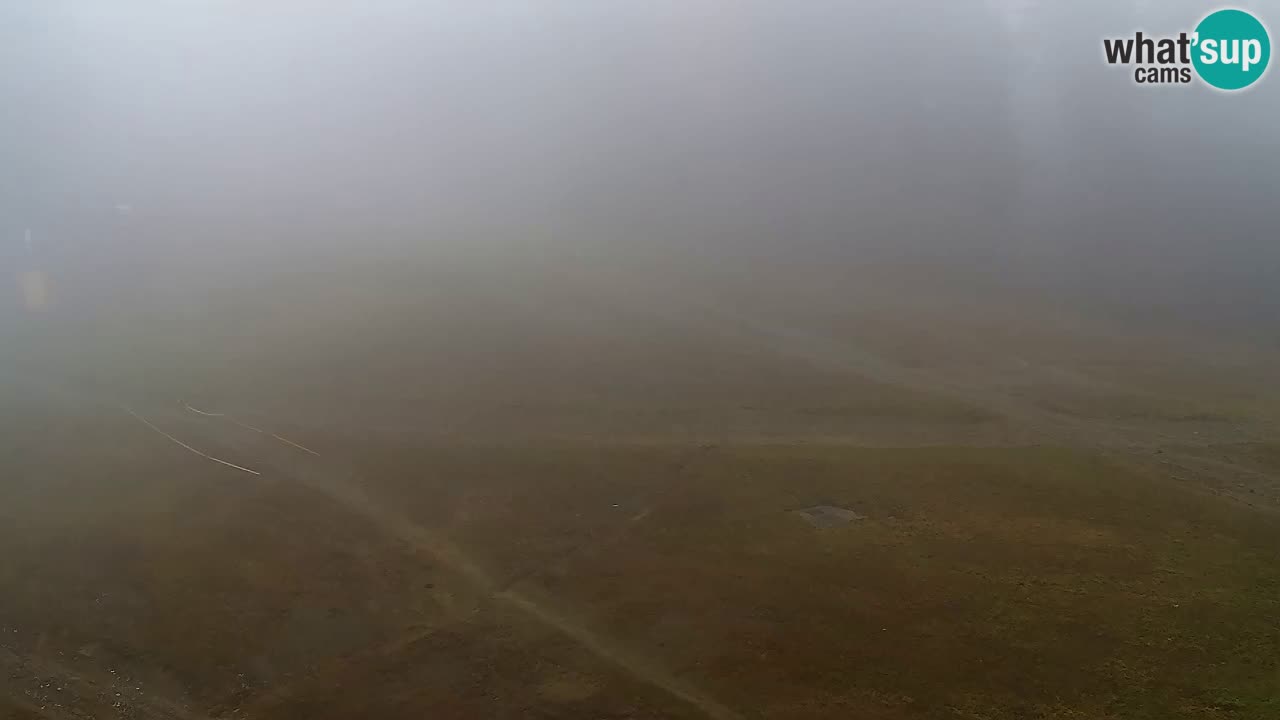 Webcam Pohorje Trikotna Jasa | Poštela