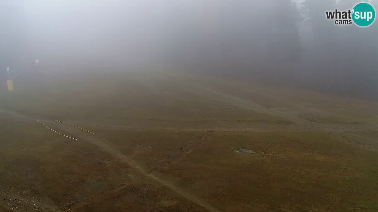 Webcam Pohorje Trikotna Jasa | Poštela