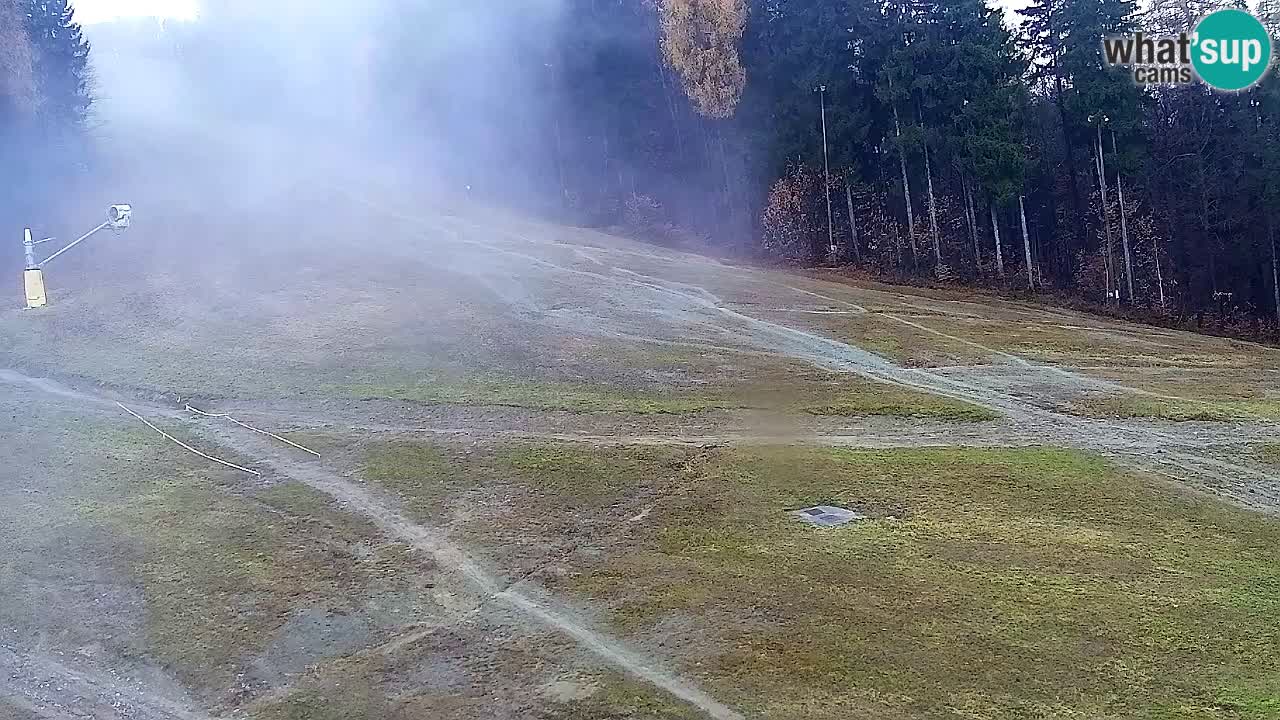 Webcam Pohorje Trikotna Jasa | Poštela
