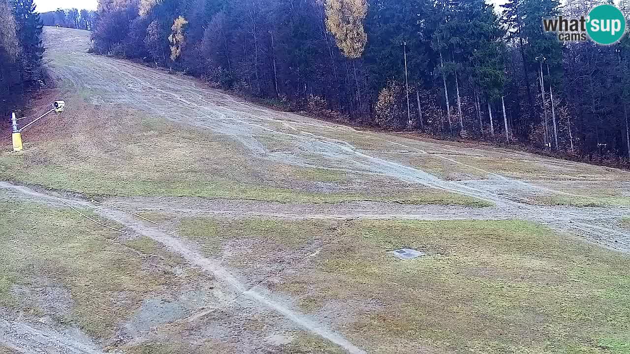 Webcam Pohorje Trikotna Jasa | Poštela