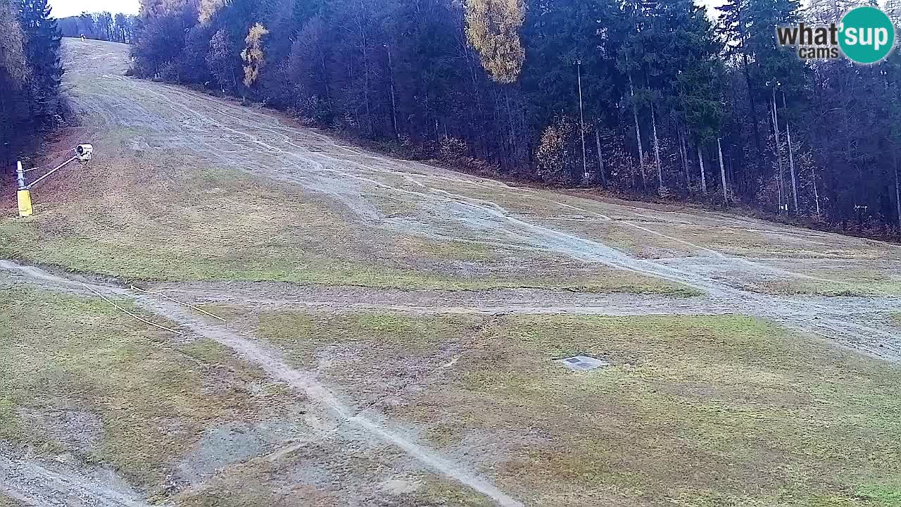 Webcam Pohorje Trikotna Jasa | Poštela