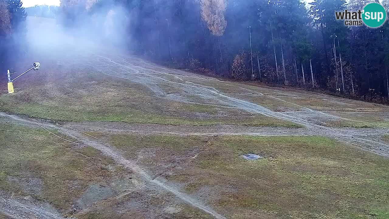 Webcam Pohorje Trikotna Jasa | Poštela