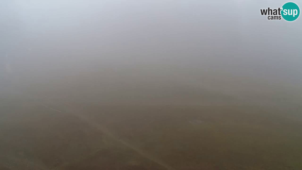 Web Camera Pohorje Trikotna Jasa | Poštela