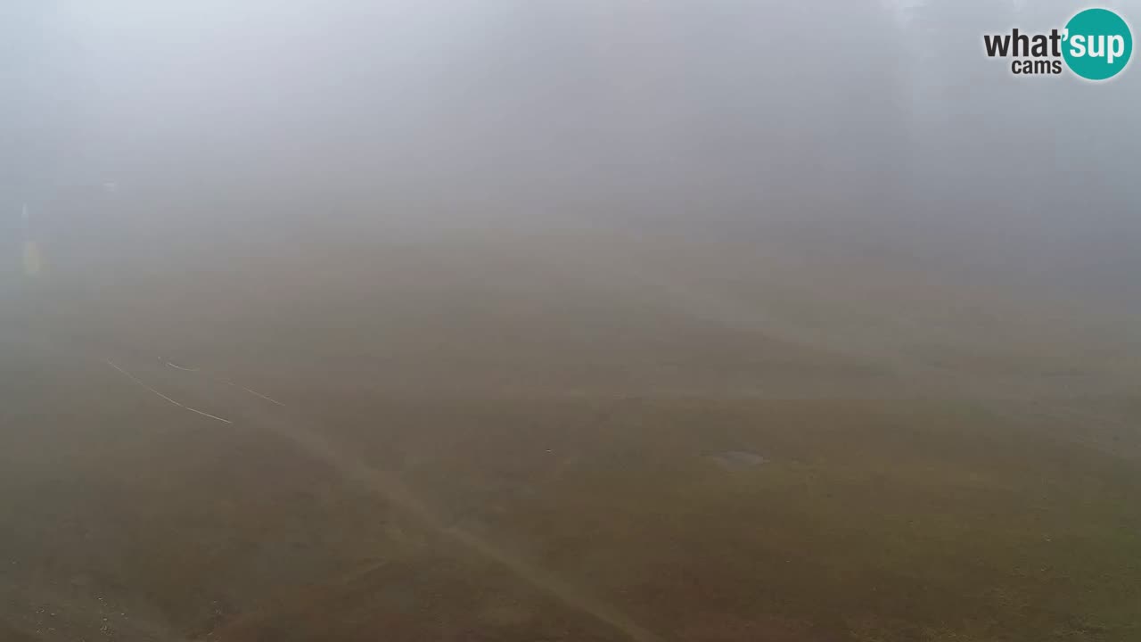 Webcam Pohorje Trikotna Jasa | Poštela