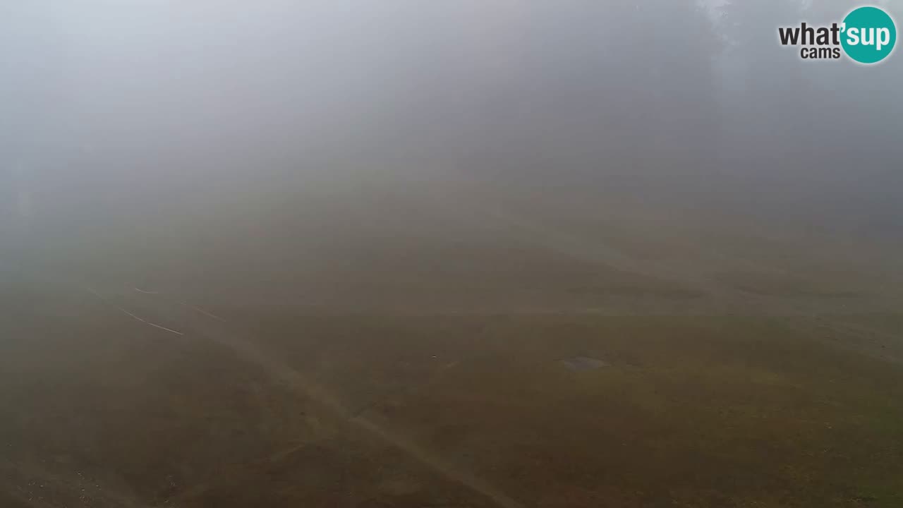 Web Camera Pohorje Trikotna Jasa | Poštela