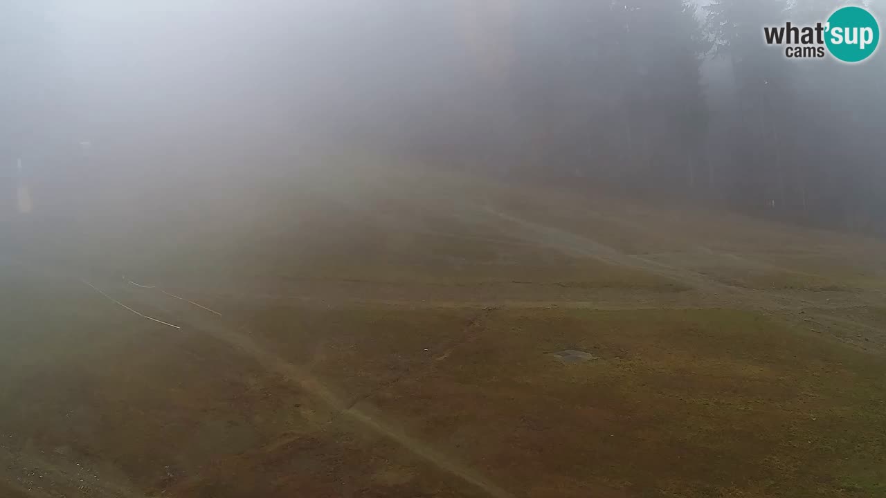 Web Camera Pohorje Trikotna Jasa | Poštela